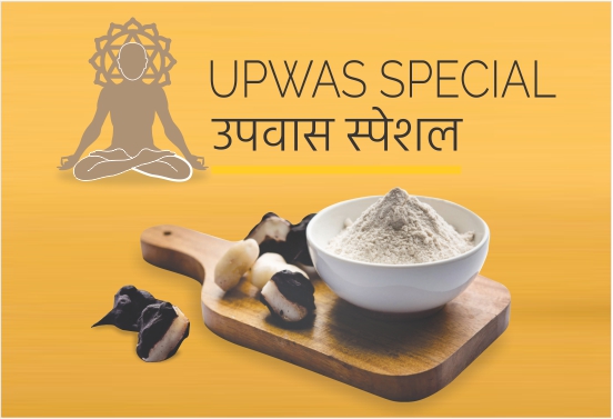 Upwas Special MBanner